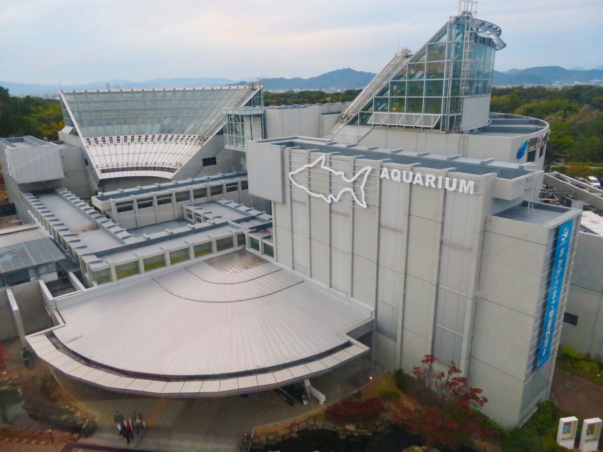 河川環境楽園 オアシスパークの写真10