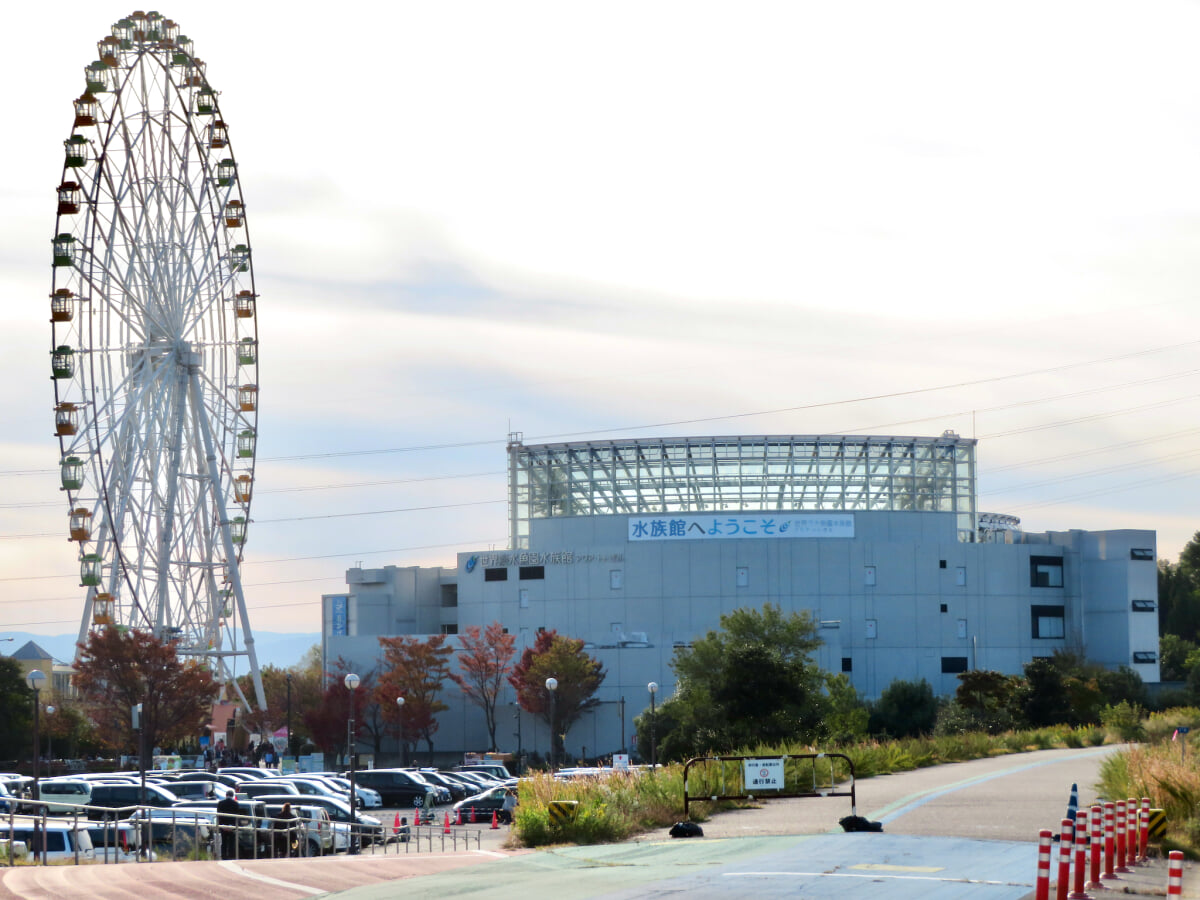 河川環境楽園 オアシスパークの写真1