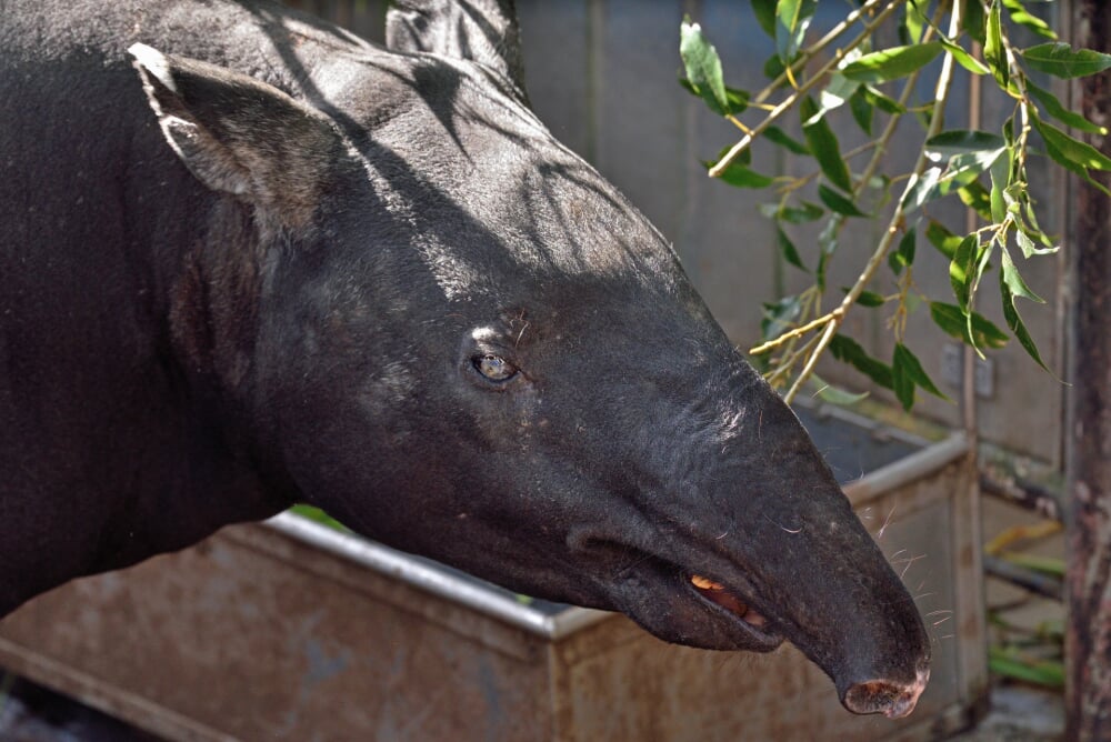 福岡市動植物園の写真2