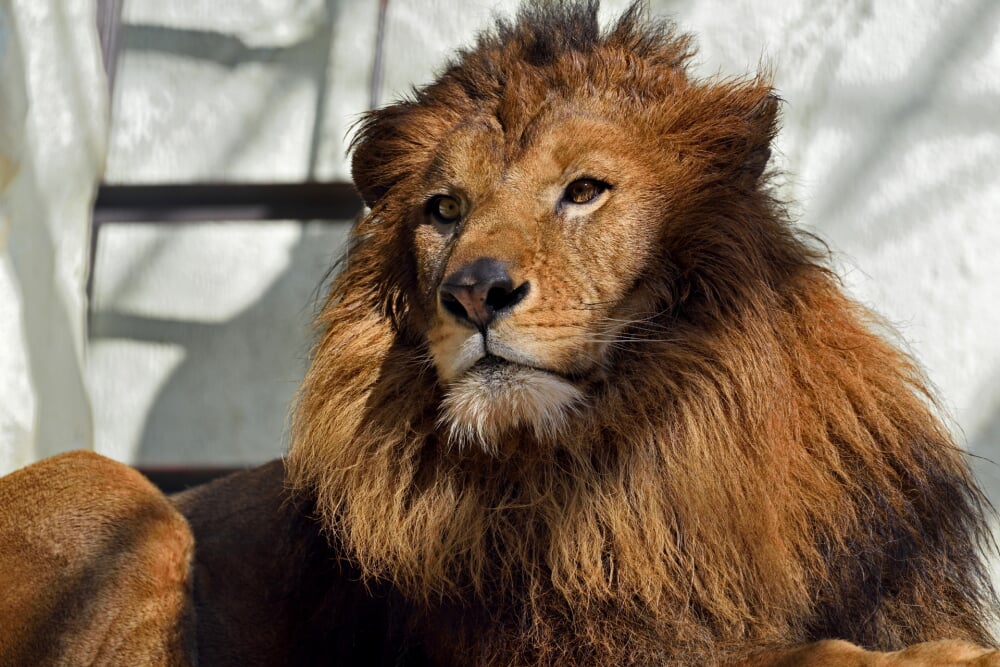 福岡市動植物園の写真6