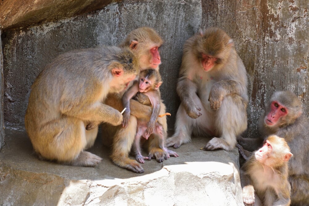 福岡市動植物園の写真8