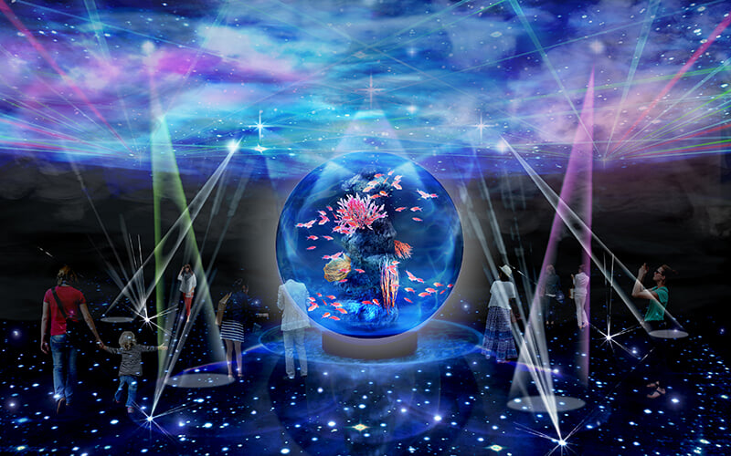 新感覚水族館 atoa(アトア)の写真4