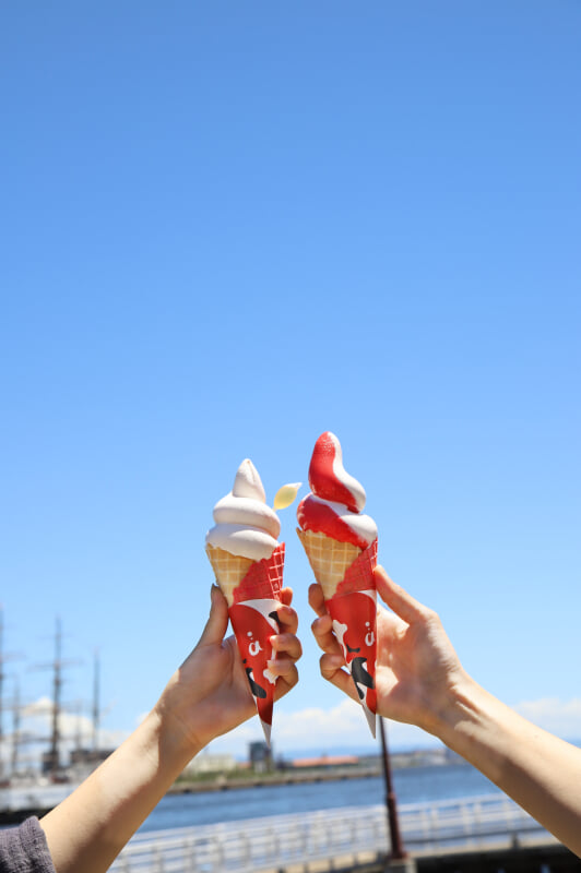 新感覚水族館 atoa(アトア)の写真7