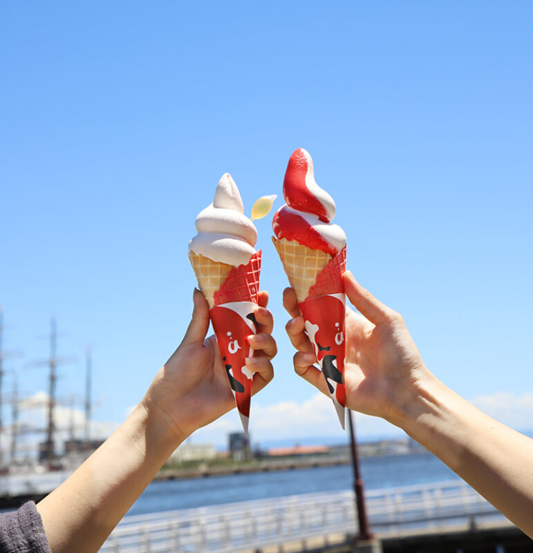 新感覚水族館 atoa(アトア)の写真13