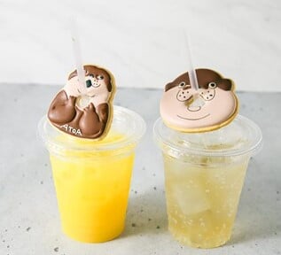 新感覚水族館 atoa(アトア)の写真14