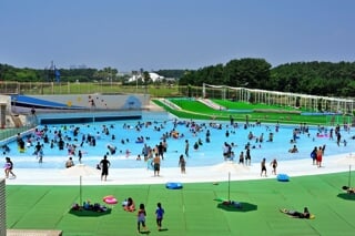 辻堂海浜公園の写真2