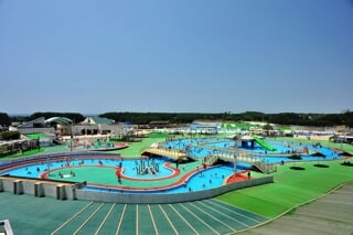 辻堂海浜公園の写真6