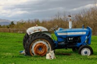 蔵王ハートランド