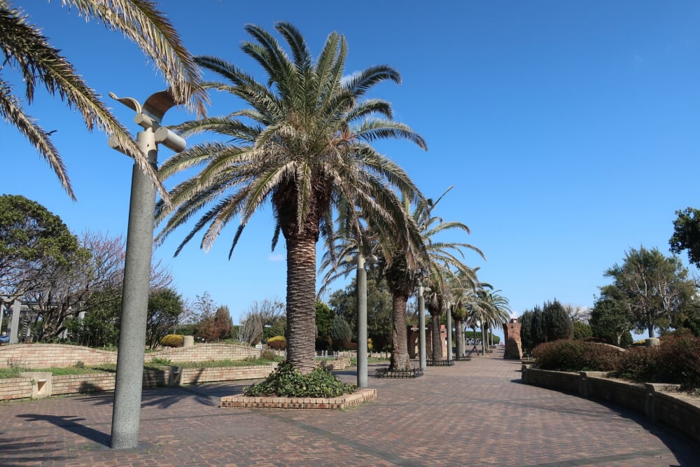 うみかぜ公園の写真7