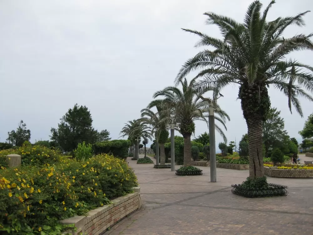 うみかぜ公園の写真1