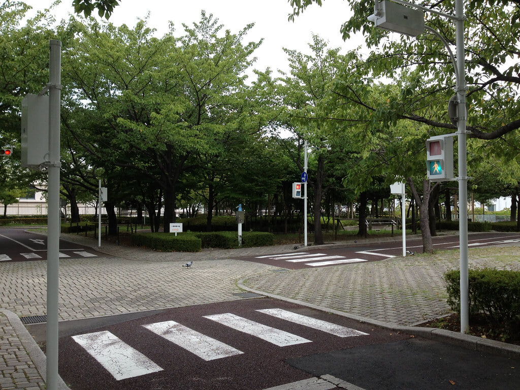 荒川自然公園の写真3