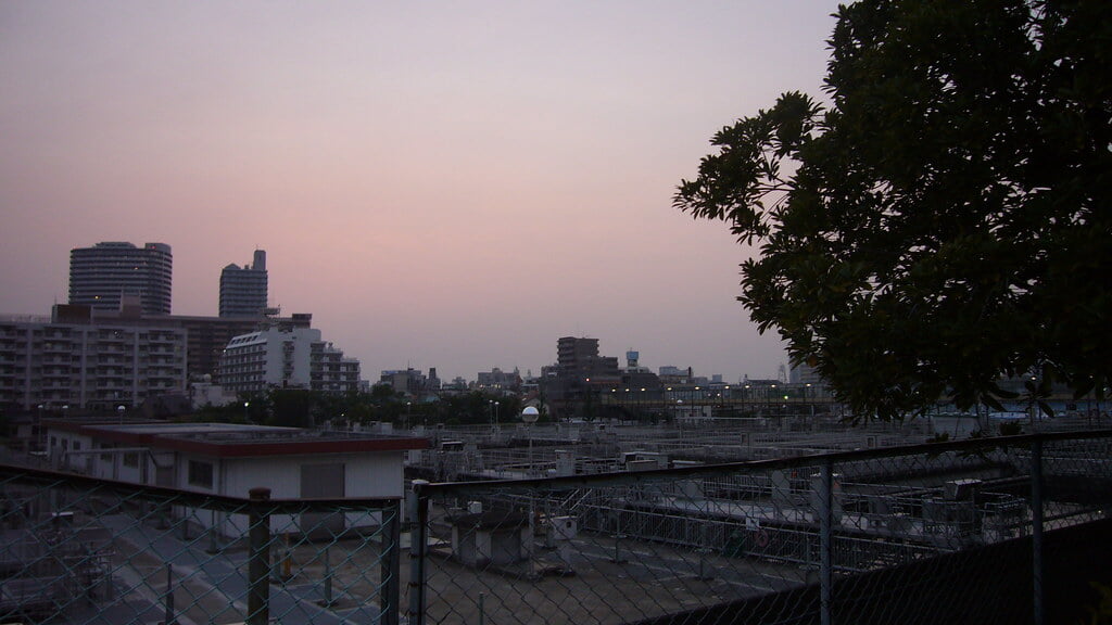 荒川自然公園の写真4