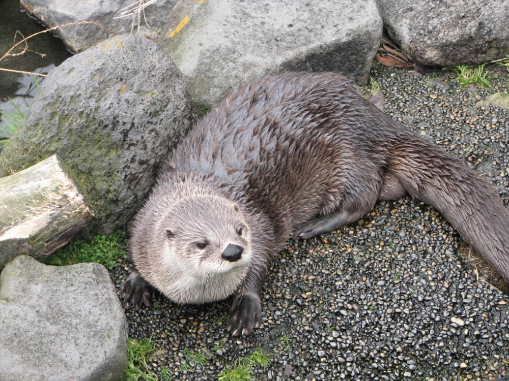 市川市動植物園の写真2