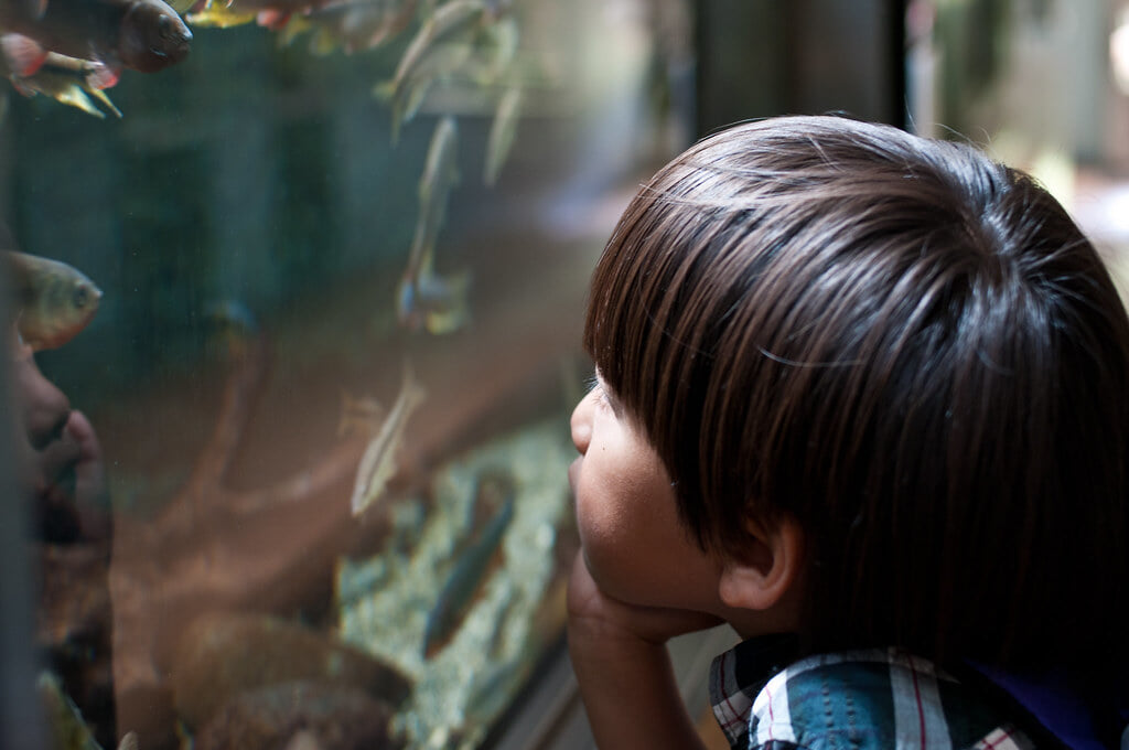 井の頭自然文化園の写真5