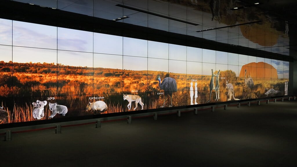 東芝未来科学館の写真12