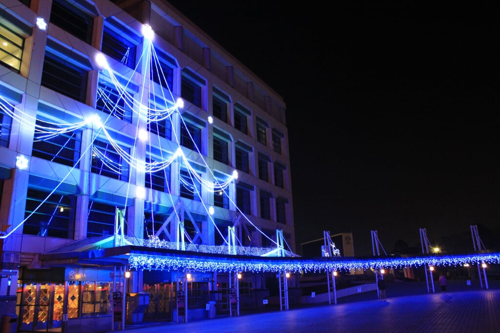 中山競馬場の写真2