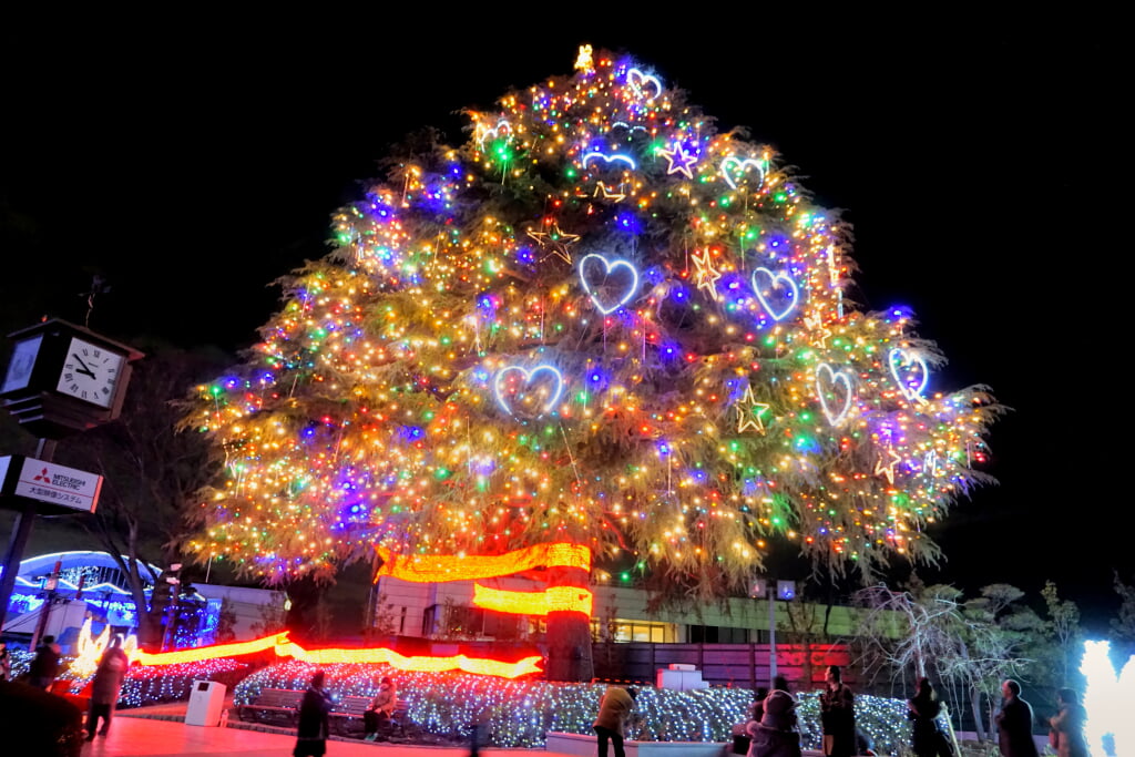 中山競馬場の写真3