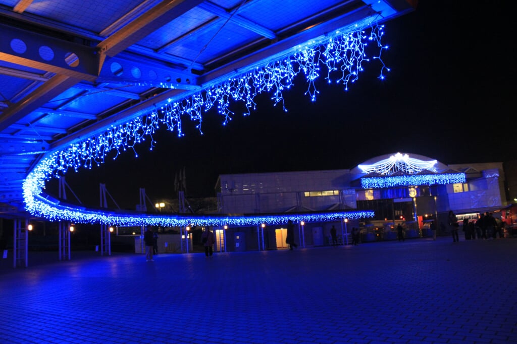 中山競馬場の写真7