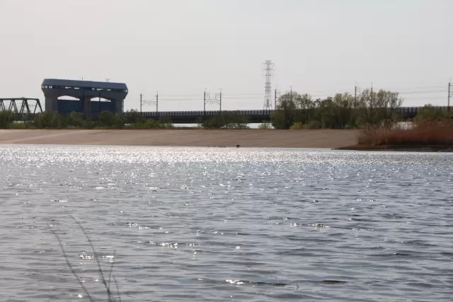 荒川彩湖公園の写真1