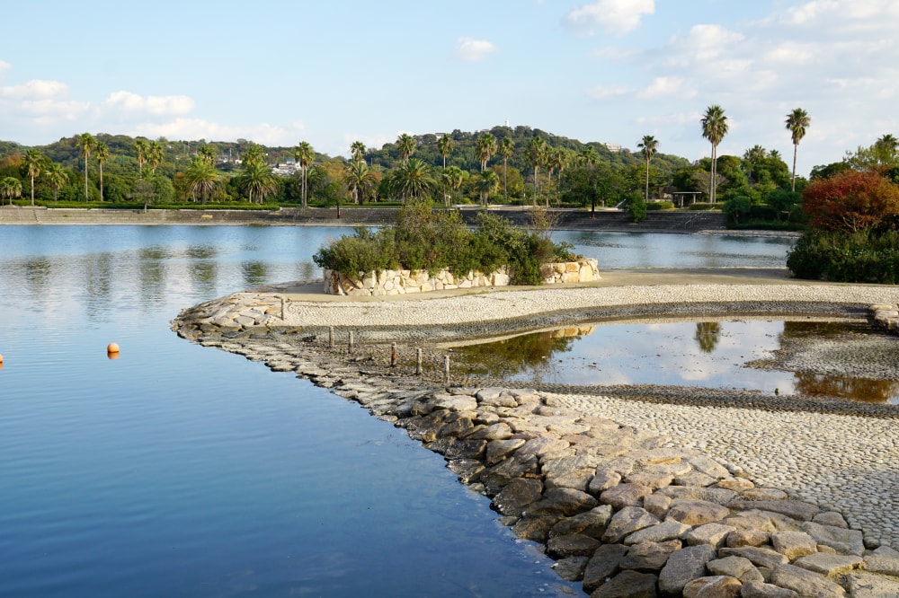 赤穂海浜公園の写真9
