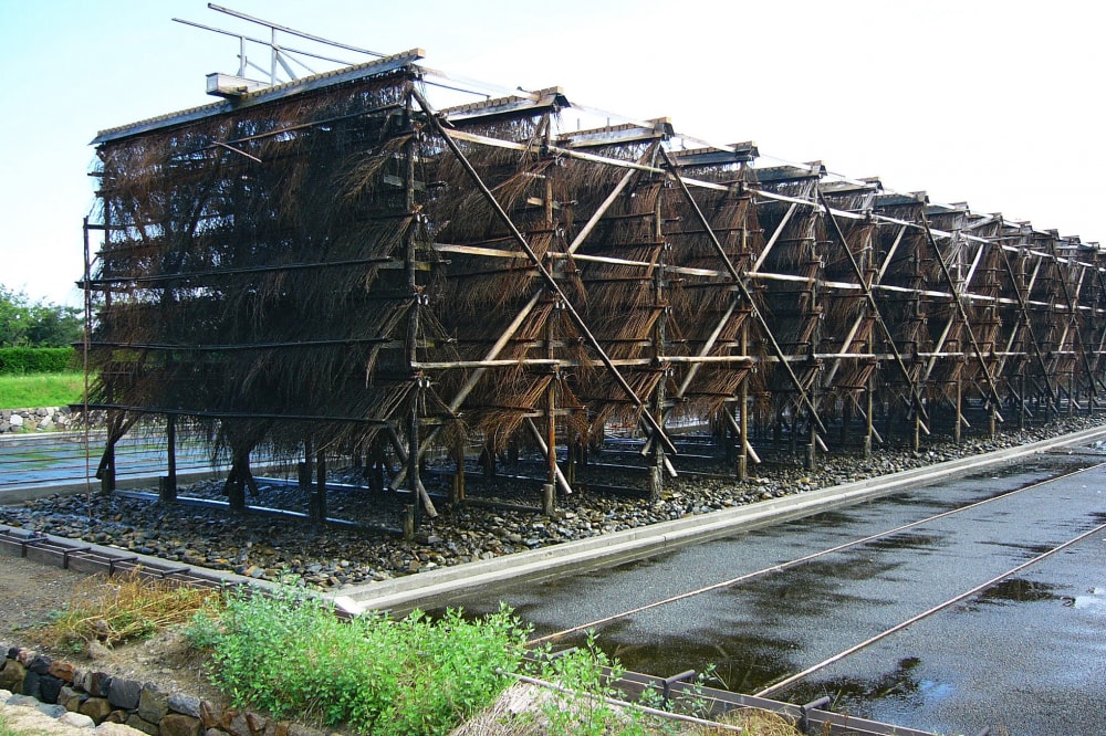 赤穂海浜公園の写真16