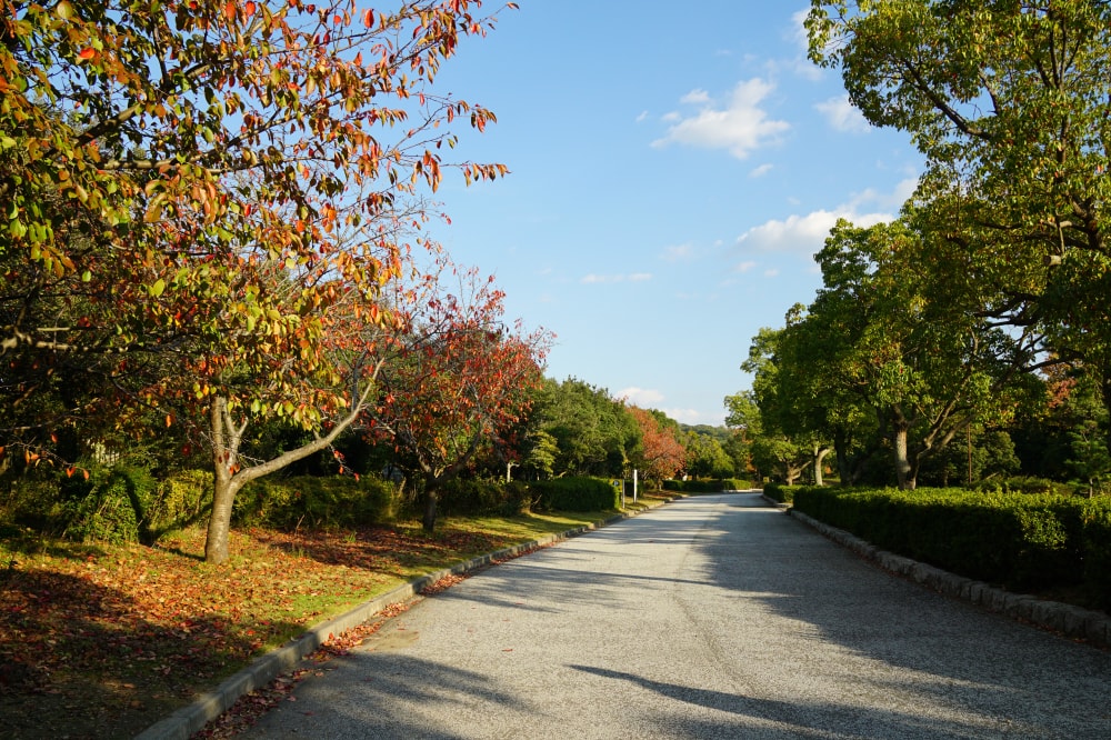 赤穂海浜公園の写真18