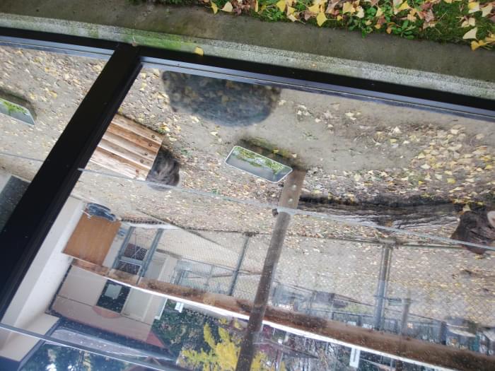 五月山動物園の写真2