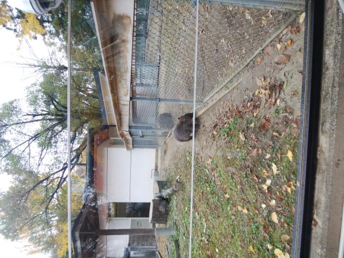 五月山動物園の写真5