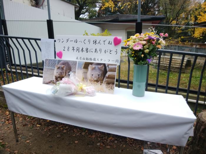 五月山動物園の写真6