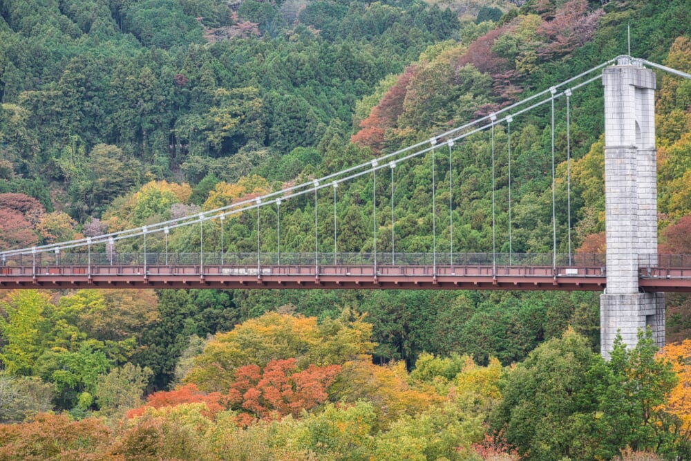 神奈川県立秦野戸川公園の写真2