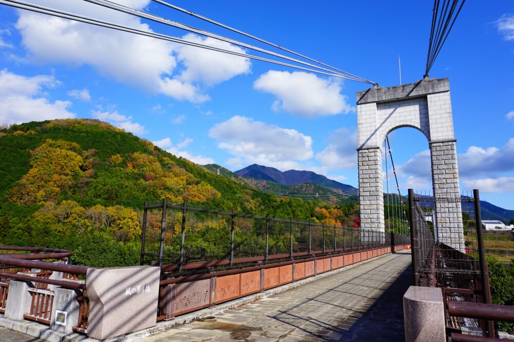神奈川県立秦野戸川公園の写真7