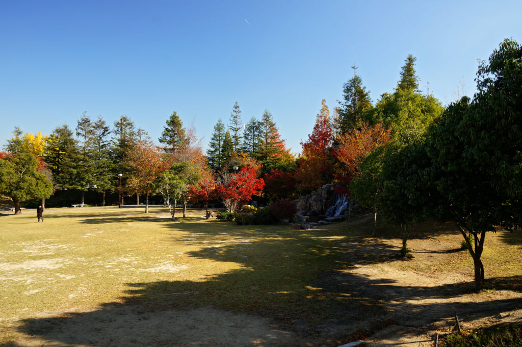 野添北公園の写真6