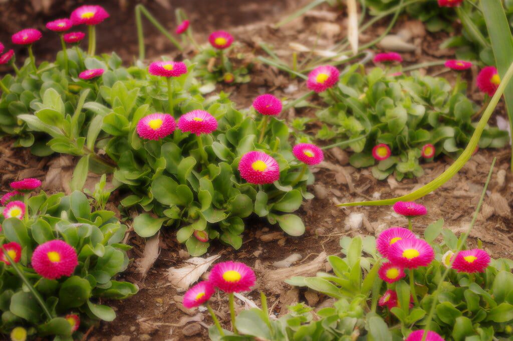 舎人公園の写真4