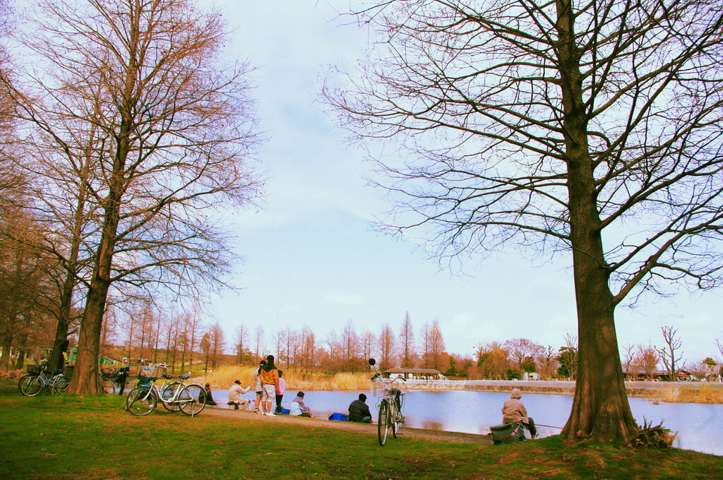 舎人公園の写真8