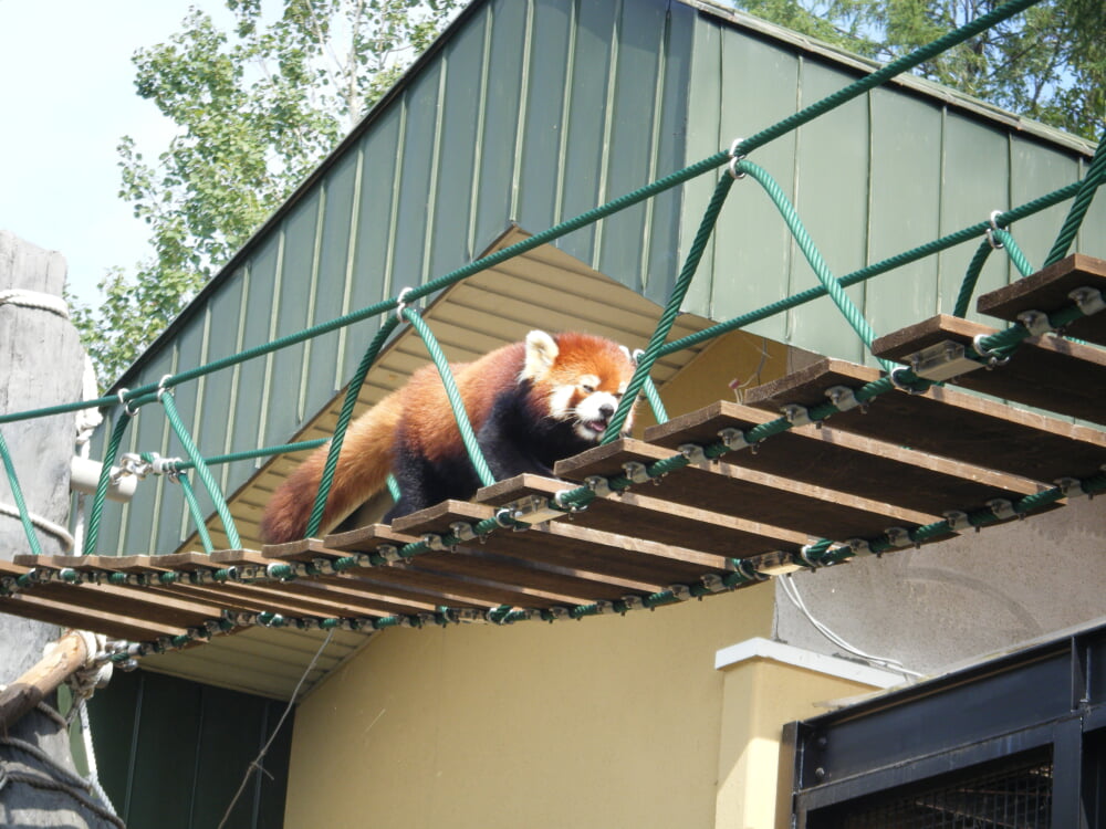 旭川市旭山動物園の写真4