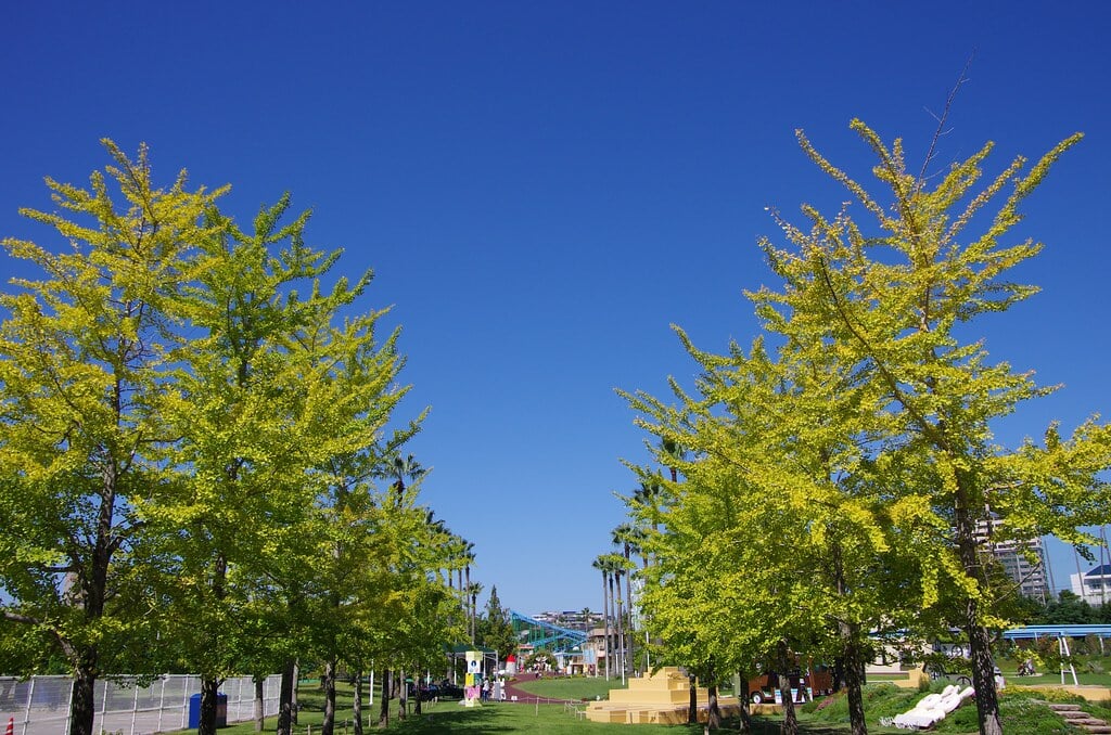 かしいかえん シルバニアガーデンの写真5