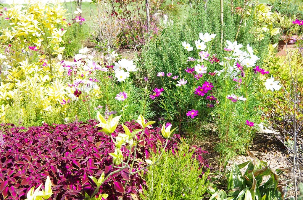 かしいかえん シルバニアガーデンの写真10