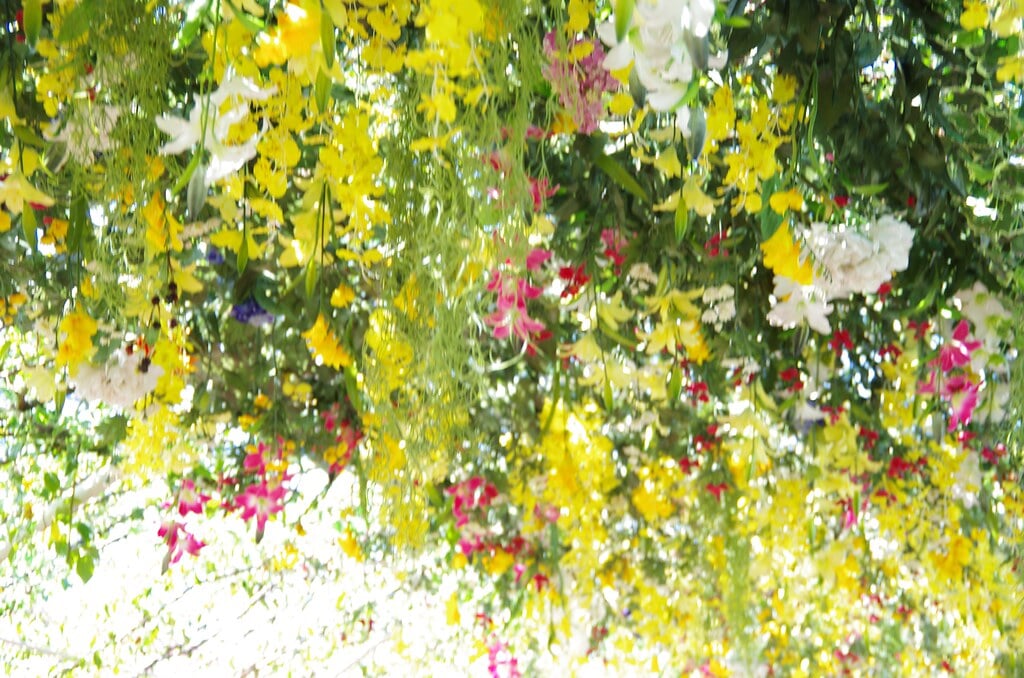 かしいかえん シルバニアガーデンの写真12