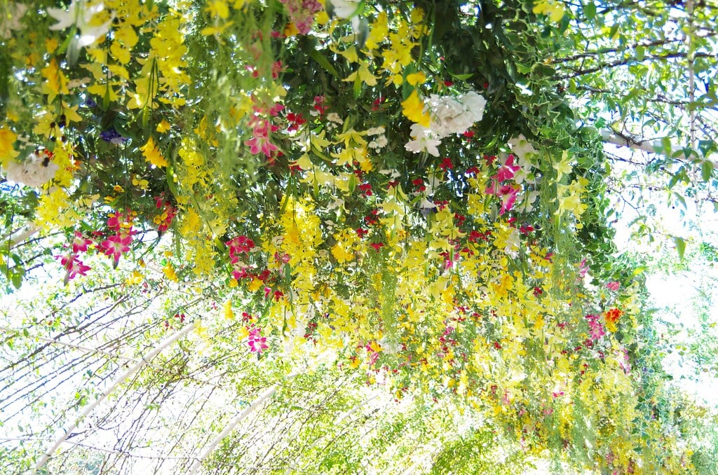 かしいかえん シルバニアガーデンの写真13