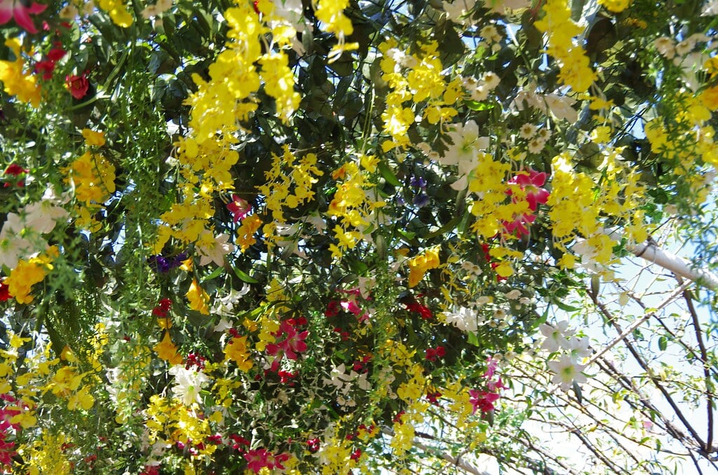 かしいかえん シルバニアガーデンの写真15