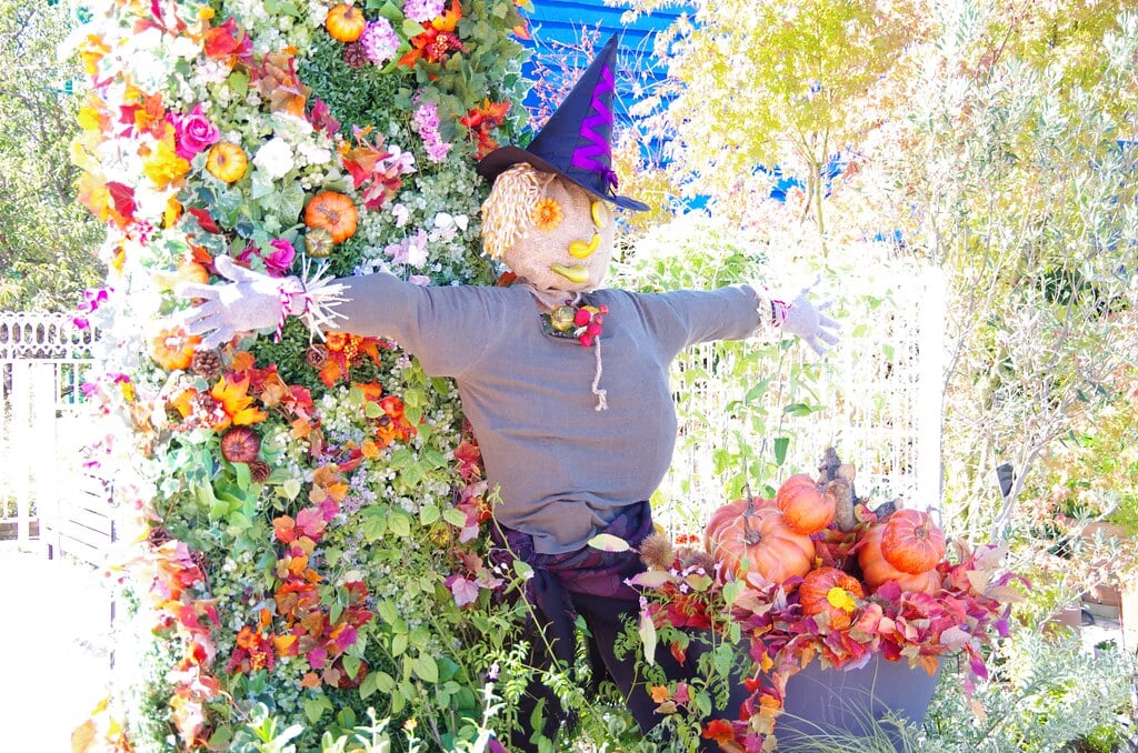 かしいかえん シルバニアガーデンの写真21