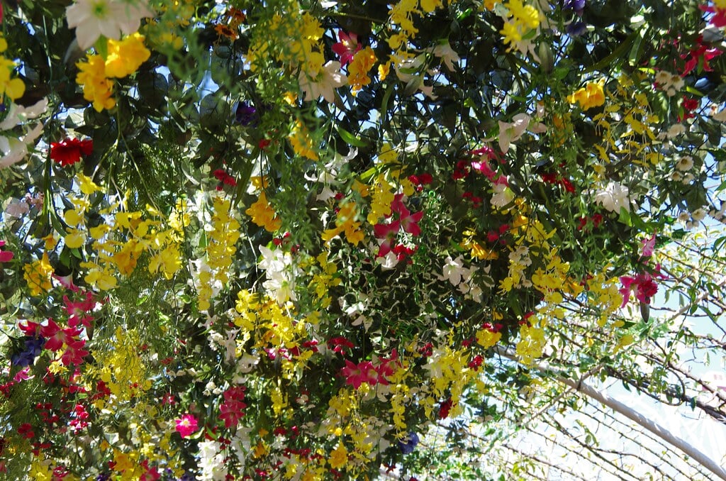 かしいかえん シルバニアガーデンの写真24