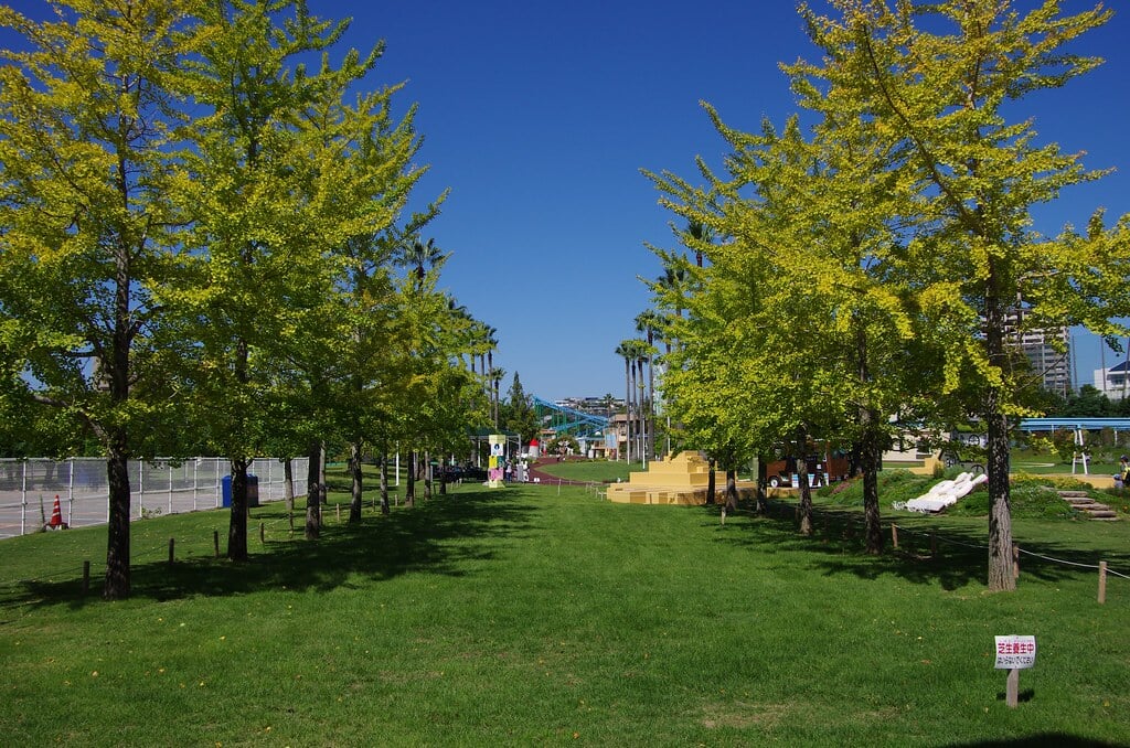 かしいかえん シルバニアガーデンの写真28