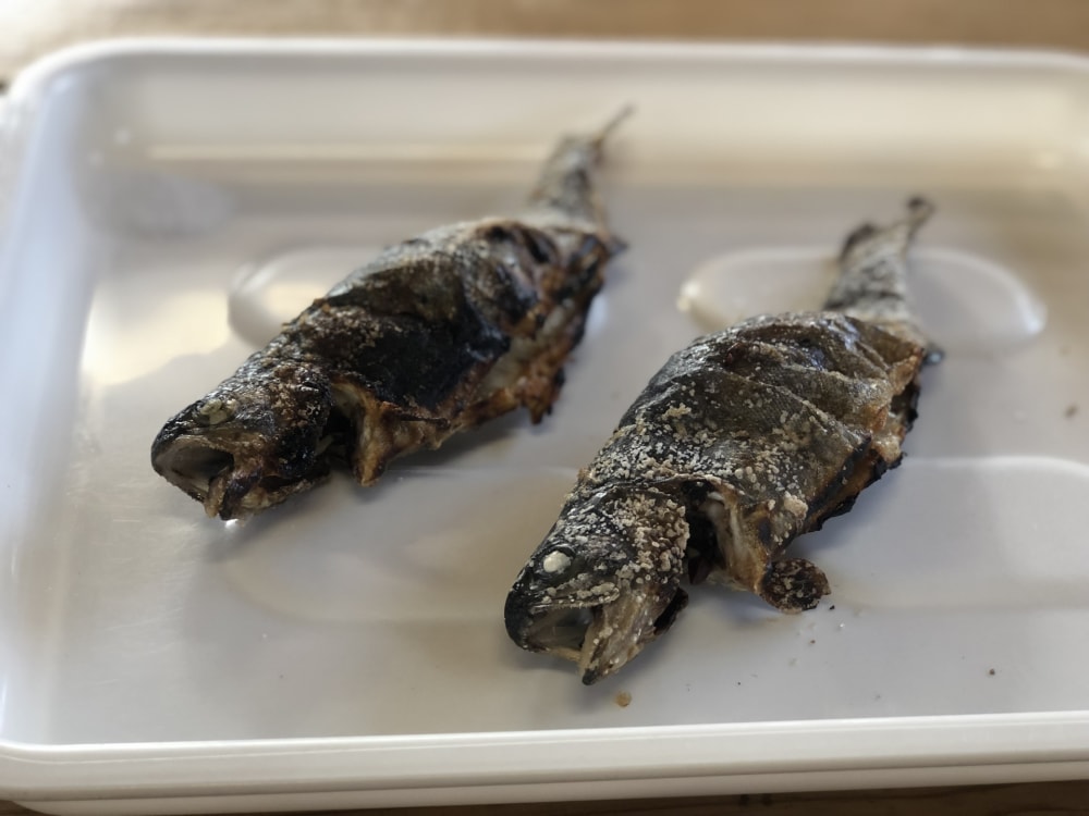 滋賀県南郷水産センターの写真4