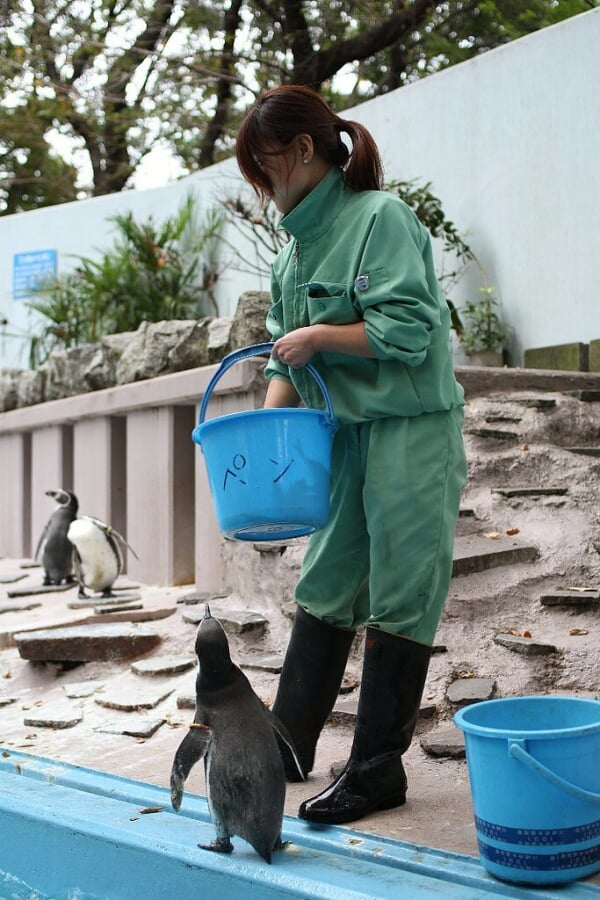 川崎市立 夢見ヶ崎動物公園の写真2