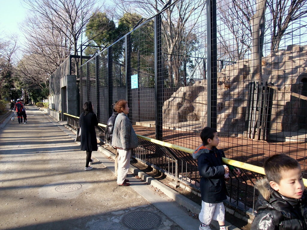 川崎市立 夢見ヶ崎動物公園の写真8