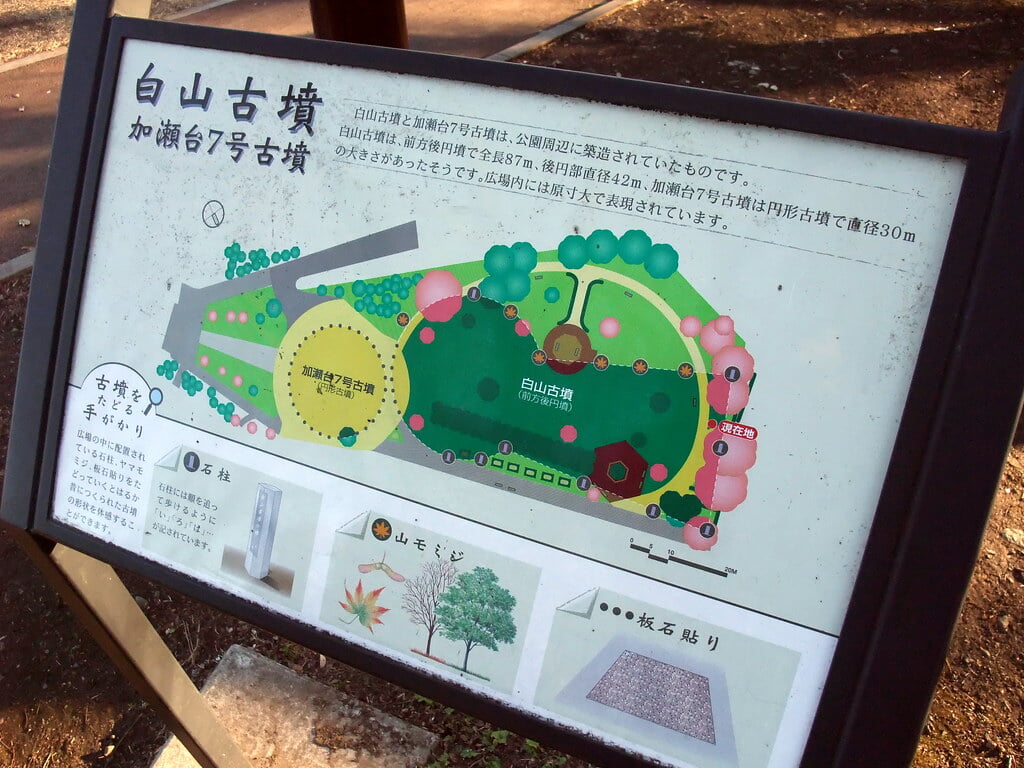 川崎市立 夢見ヶ崎動物公園の写真11