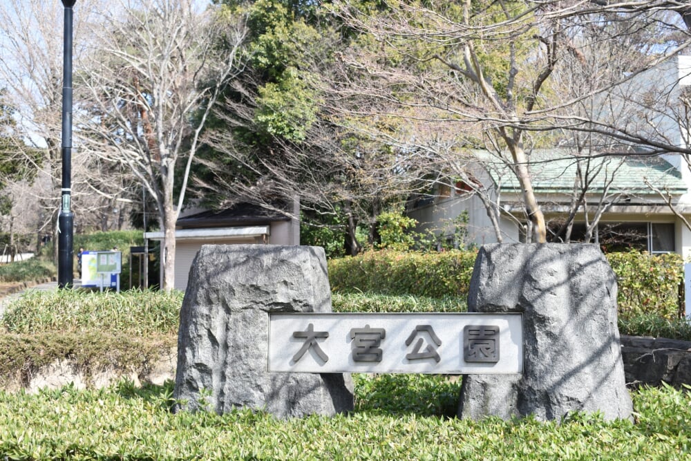 大宮公園の写真1