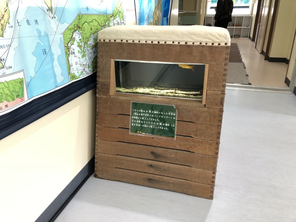 むろと廃校水族館の写真6