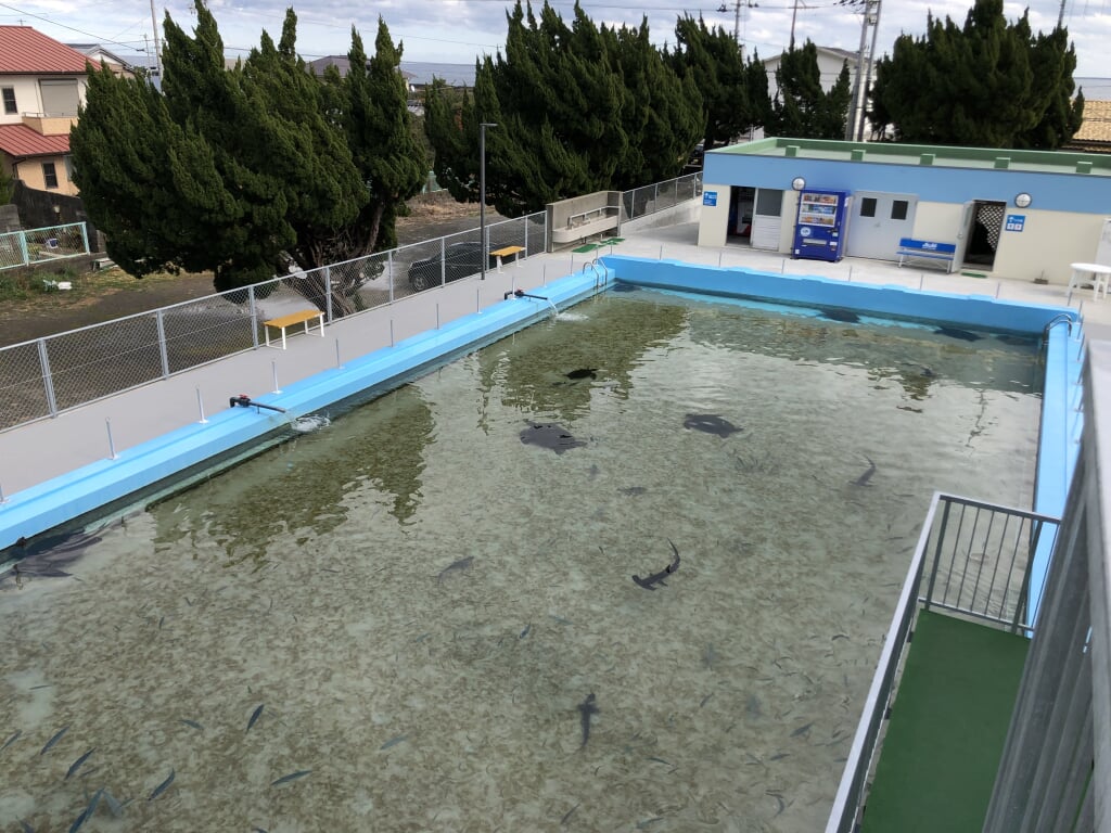 むろと廃校水族館の写真12